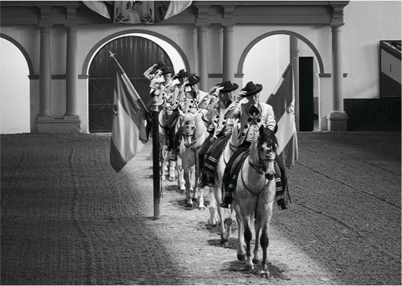 Equestrian